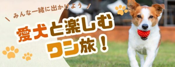 ペット