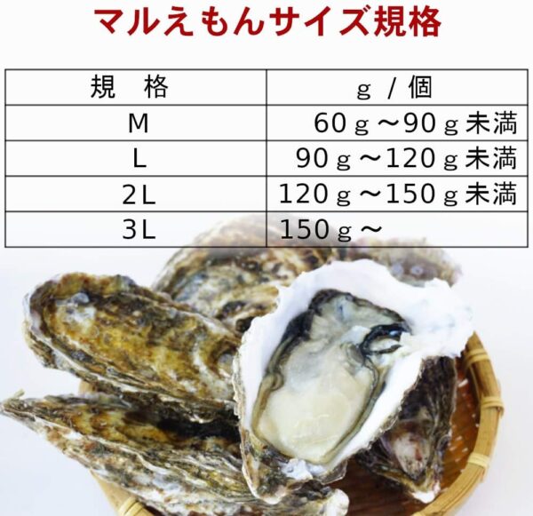 サイズ