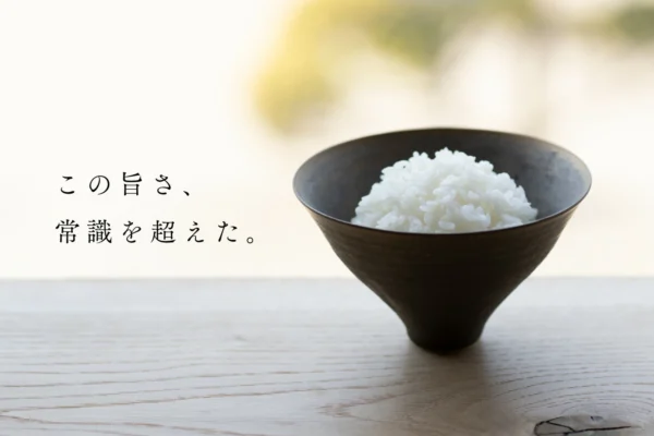 イメージ1
